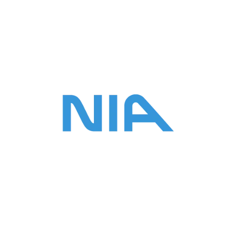 Network in Action logo